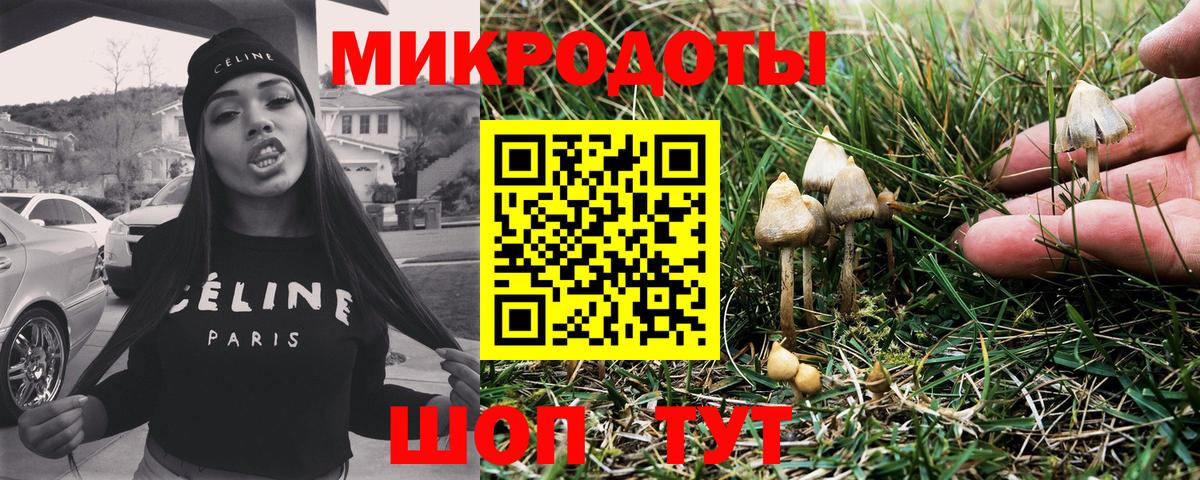 Минусинск  Псилоцибиновые грибы мицелий  Вход с VPN 